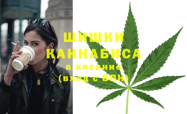 шишки Вязники
