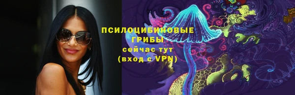 шишки Вязники
