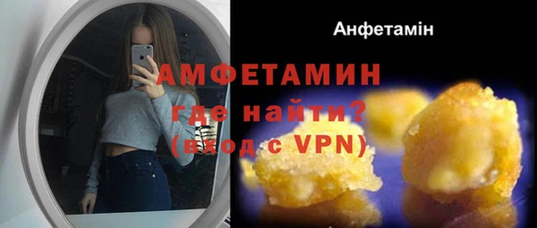 сатива Вязьма