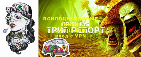 шишки Вязники