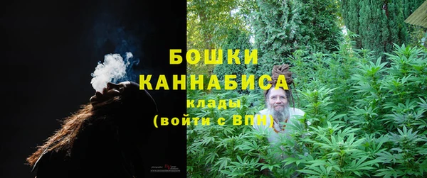 шишки Вязники