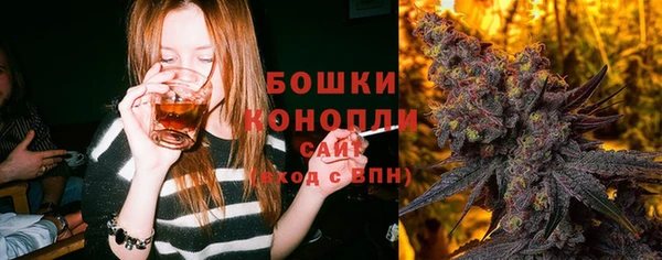 сатива Вязьма