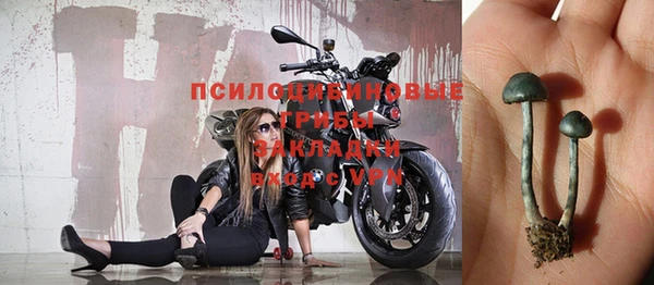 первитин Вяземский