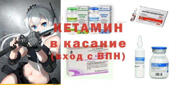 сатива Вязьма